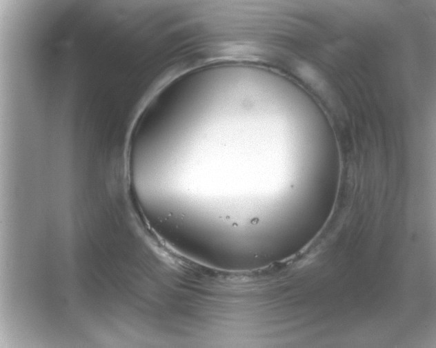 X0000069361370200605150905