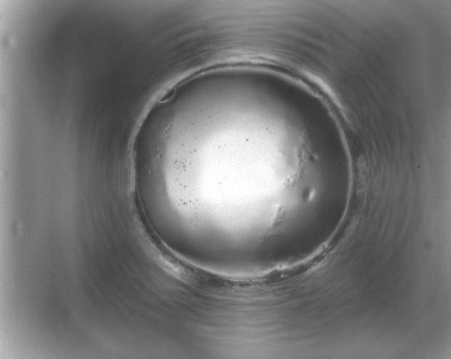 X0000069361371200605150905