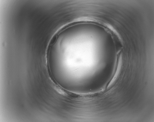 X0000069361372200605150905