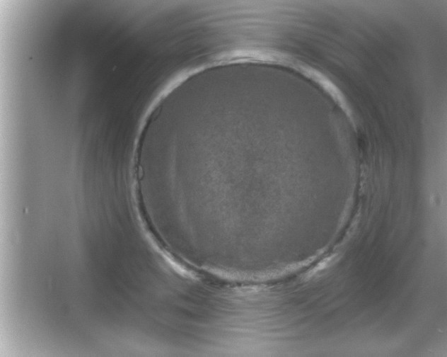 X0000069361373200605150905