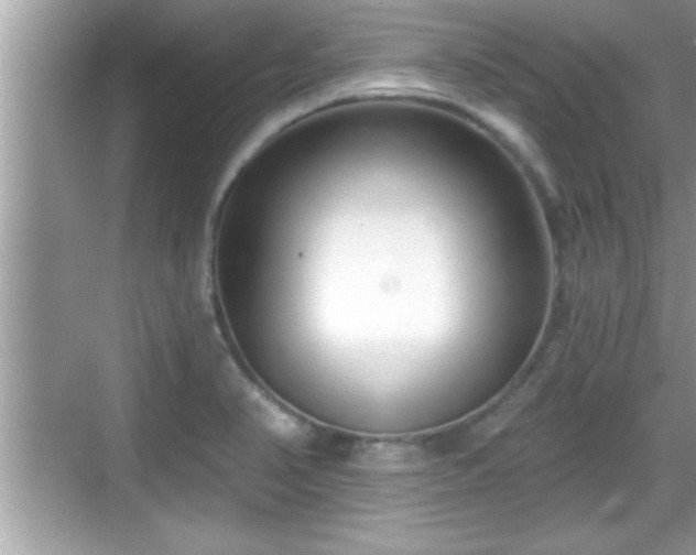 X0000069361374200605150905