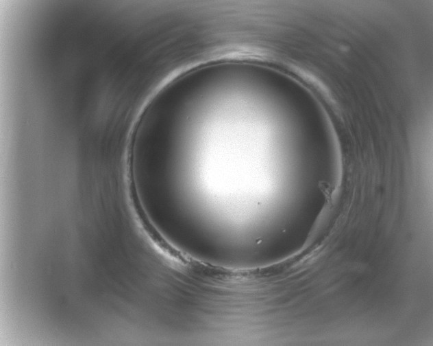 X0000069361375200605150905