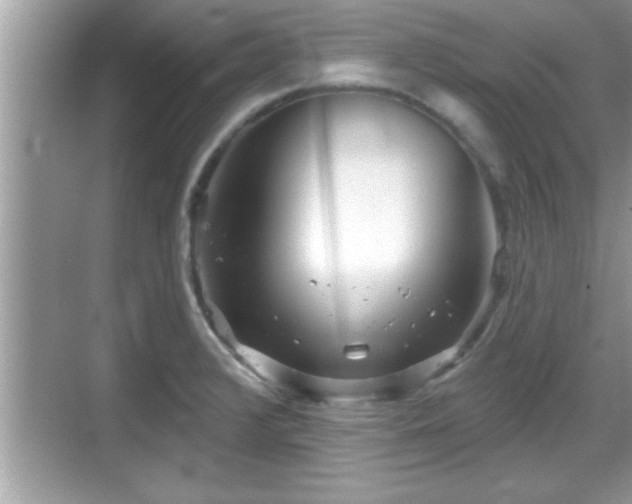 X0000069361376200605150905