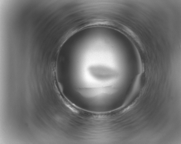 X0000069361377200605150905