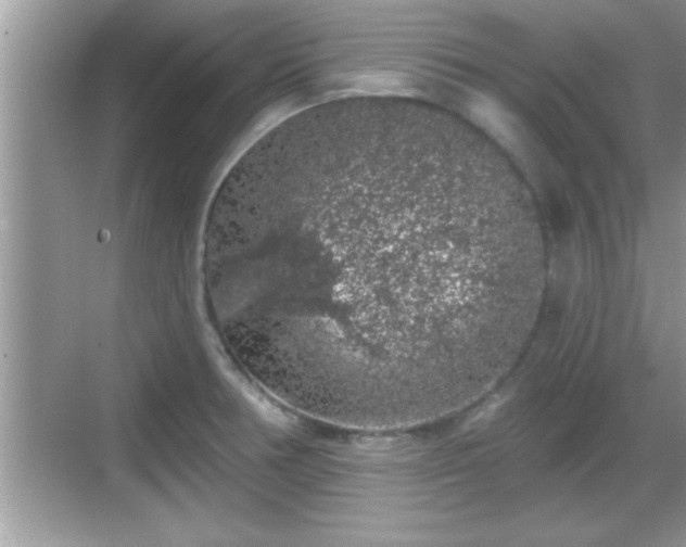 X0000069361378200605150905