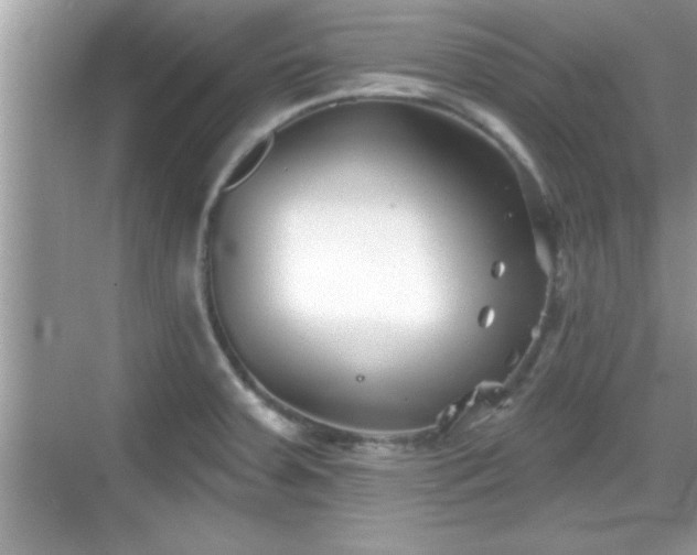 X0000069361379200605150905