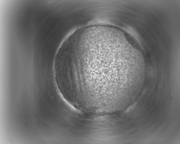 X0000069361382200605150905