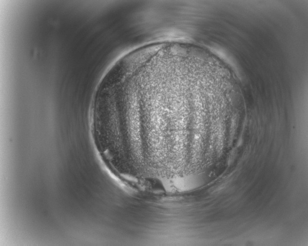 X0000069361383200605150905