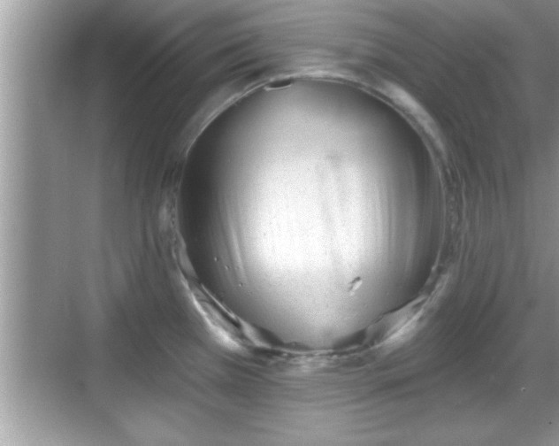 X0000069361385200605150905