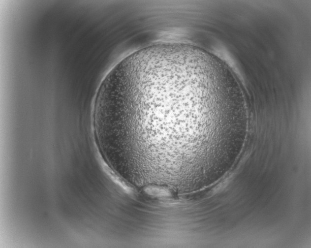 X0000069361386200605150905