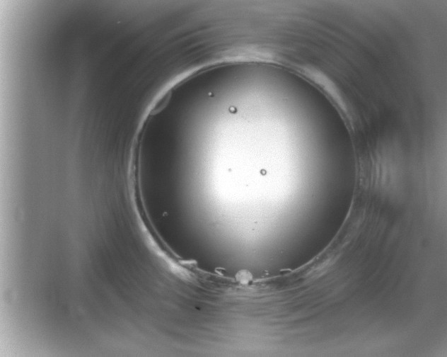 X0000069361387200605150905