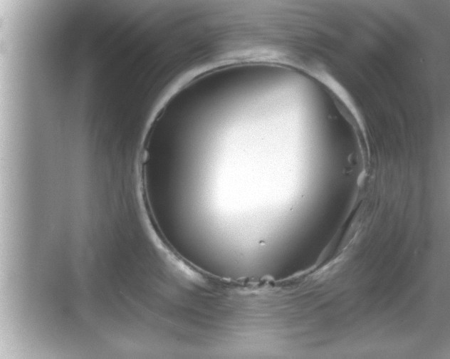 X0000069361389200605150905