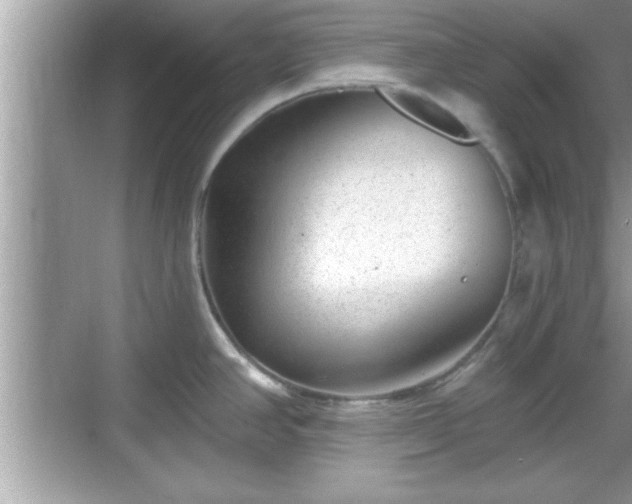 X0000069361390200605150905