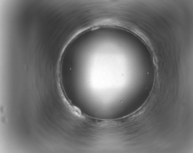 X0000069361392200605150905