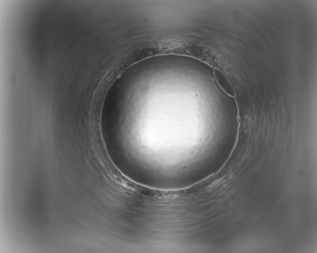 X0000069361393200605150904