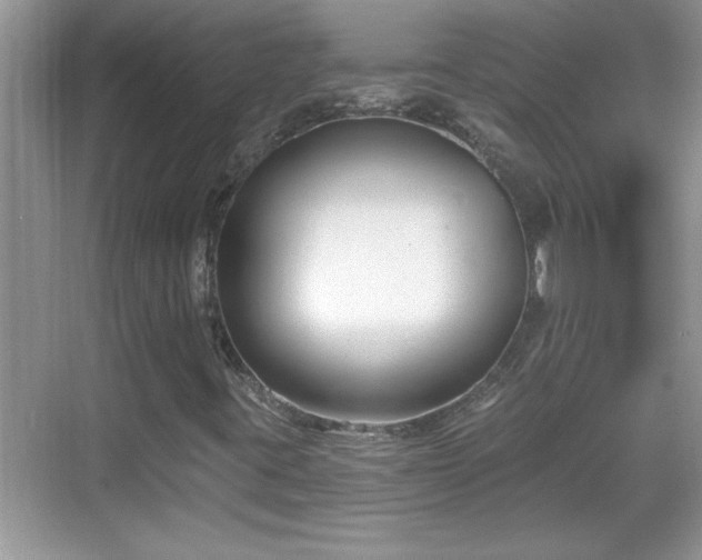 X0000069361395200605150904