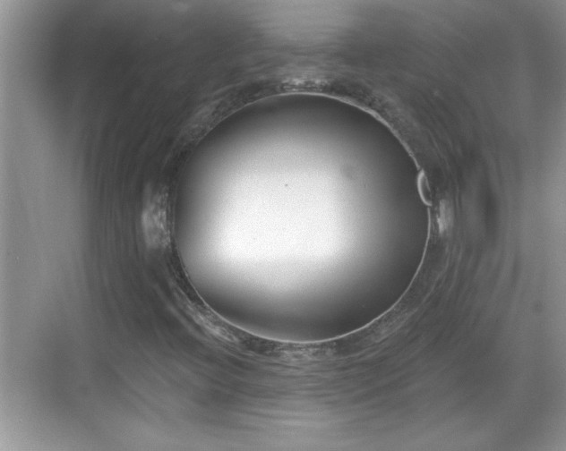 X0000069361396200605150904