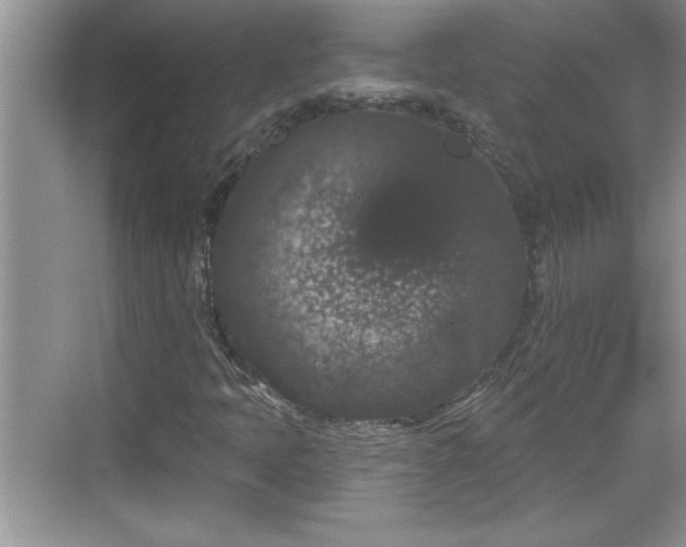 X0000069361397200605150904