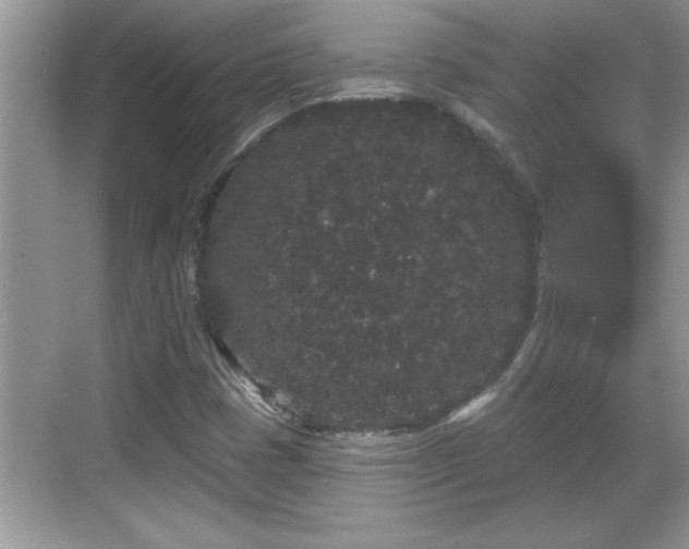 X0000069361401200605150904