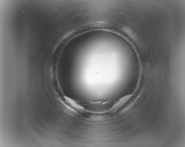 X0000069361402200605150904