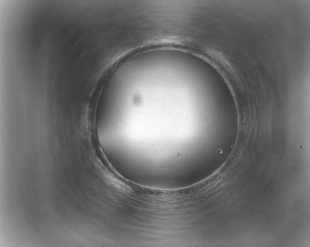 X0000069361404200605150904