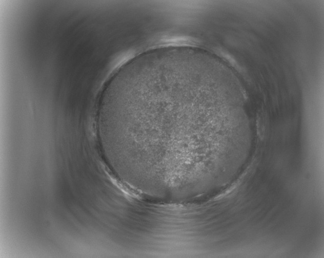 X0000069361405200605150904