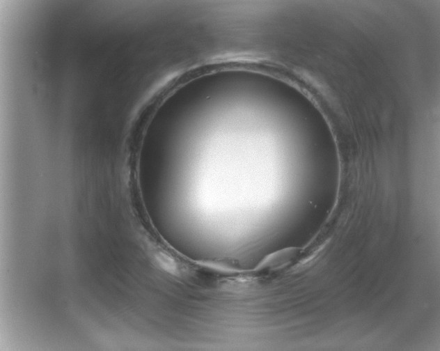 X0000069361406200605150904