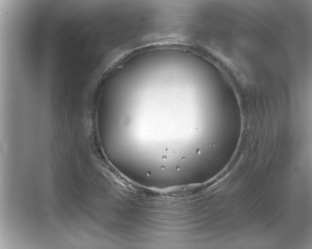 X0000069361407200605150904