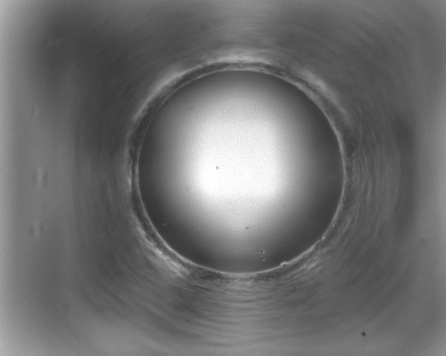 X0000069361408200605150904