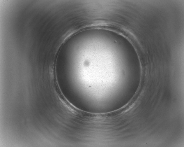 X0000069361409200605150904