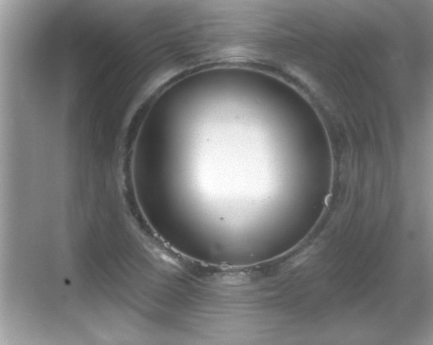 X0000069361410200605150904