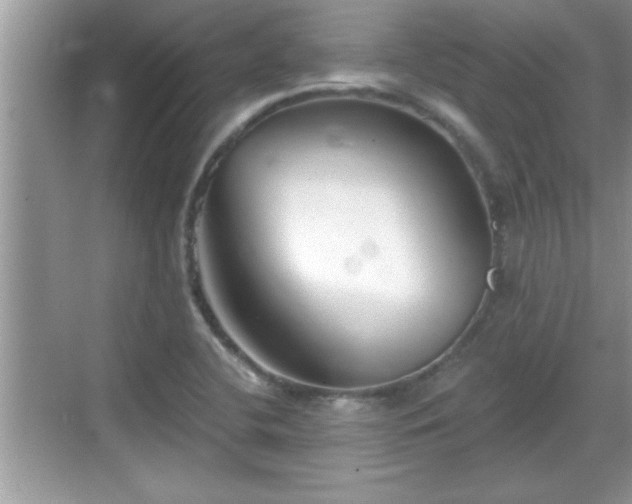 X0000069361412200605150904