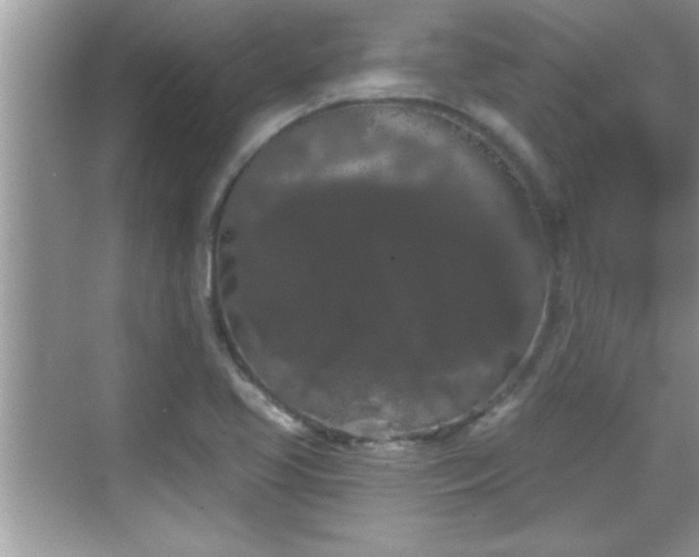 X0000069361413200605150904