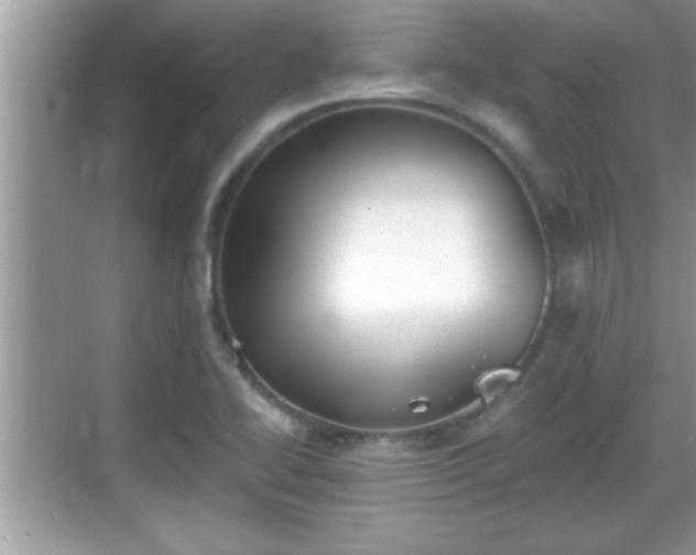 X0000069361414200605150904