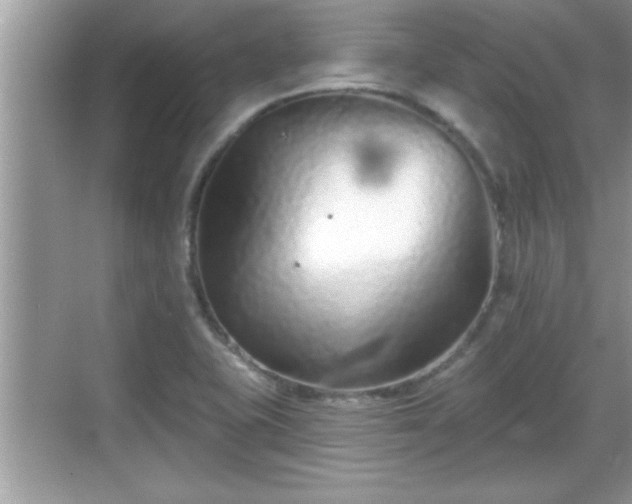 X0000069361415200605150905