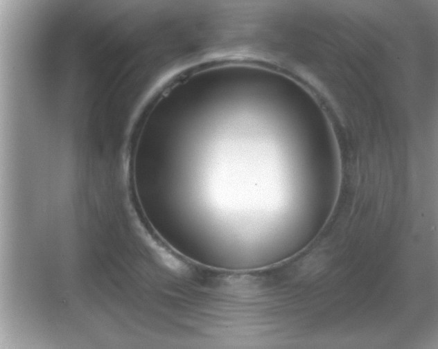 X0000069361416200605150905