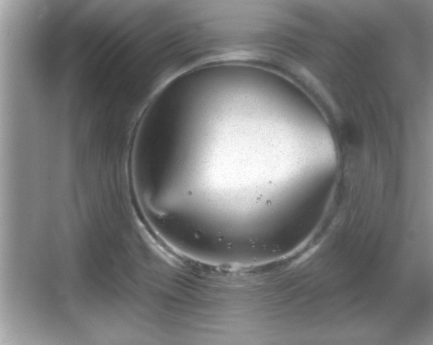 X0000069361417200605150905