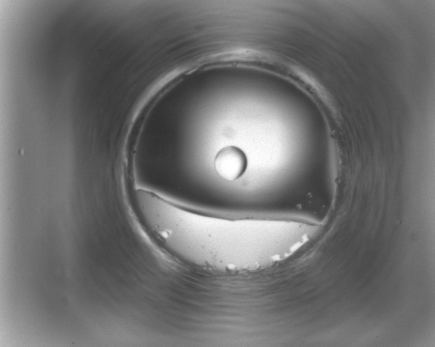 X0000069361418200605150905