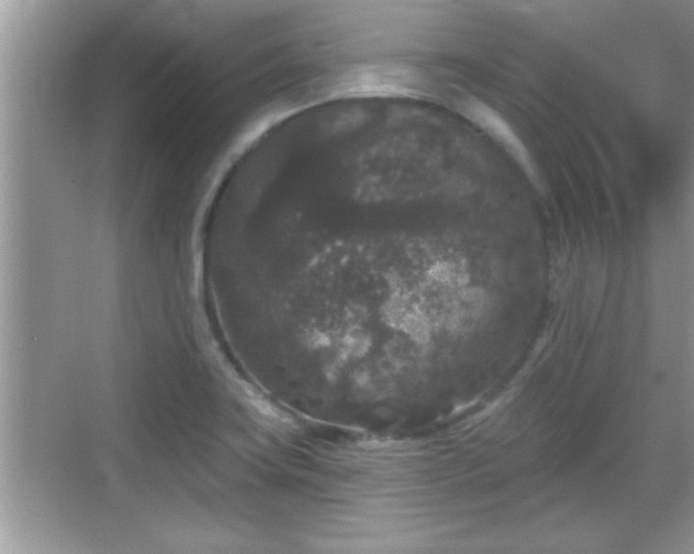 X0000069361419200605150905