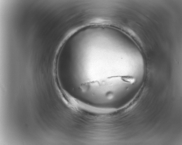 X0000069361421200605150905