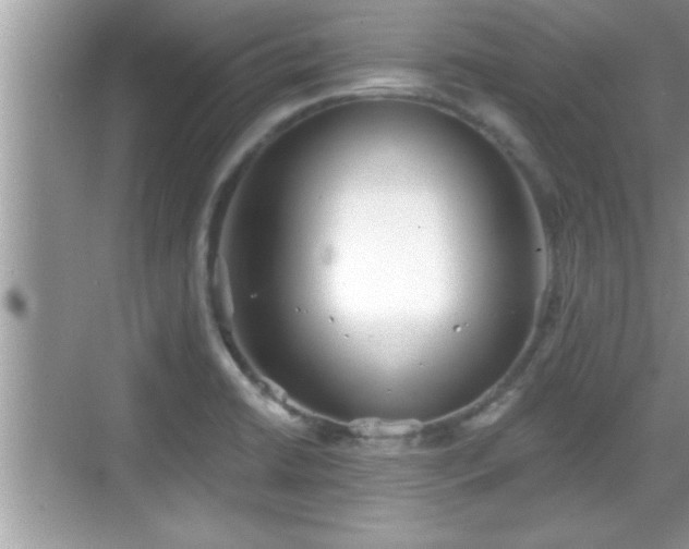 X0000069361422200605150905