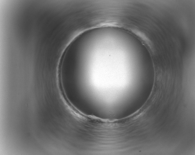 X0000069361423200605150905