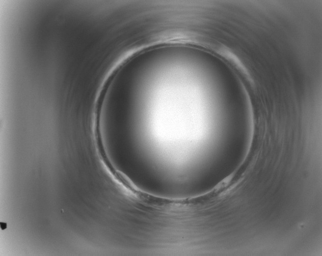 X0000069361424200605150905