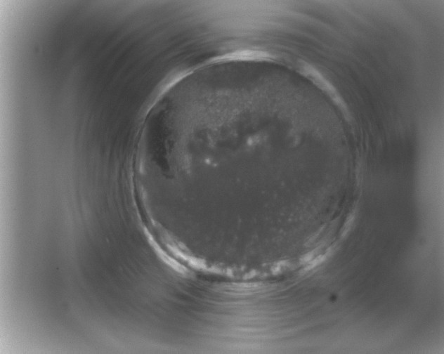 X0000069361425200605150905