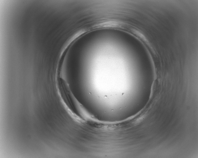 X0000069361426200605150905