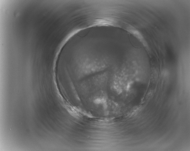 X0000069361427200605150905