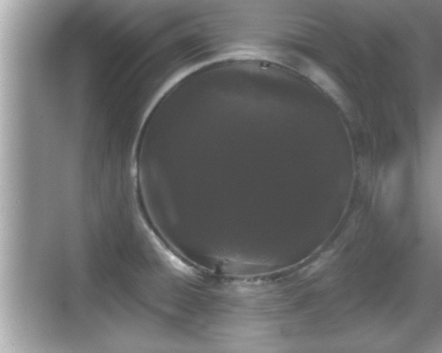 X0000069361428200605150905