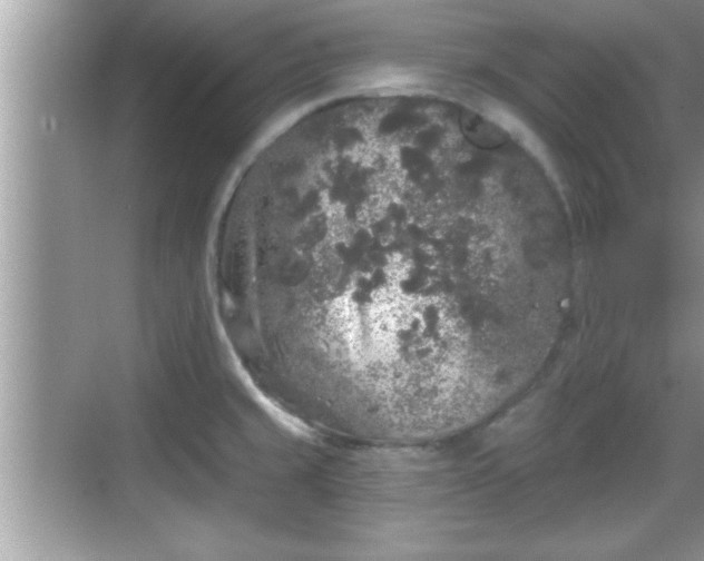 X0000069361429200605150905