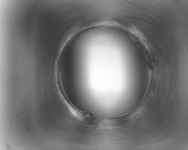 X0000069361430200605150905