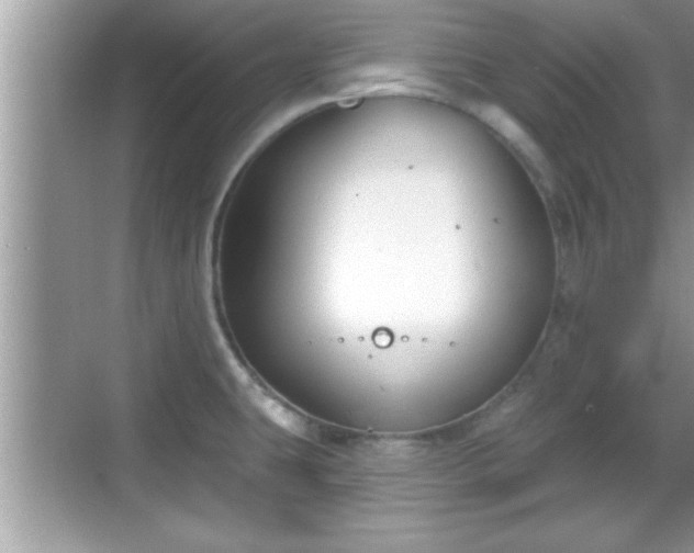 X0000069361431200605150905